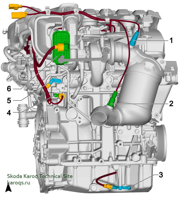 1f.jpg