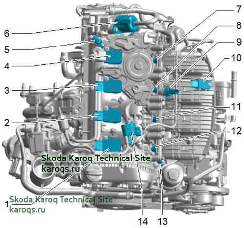 5b.jpg